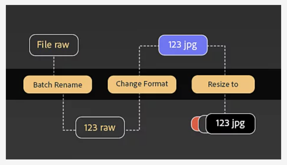 screenshot of Adobe Bridge